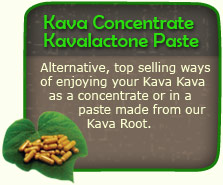 Kava Concentrate Kavalactone 84%